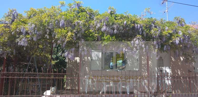 Detached House in Akrata, Achaia