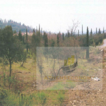 Land for sale in Agioi Deka, Corfu (3)