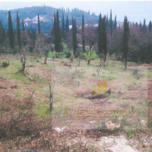 Land for sale in Agioi Deka, Corfu (4)