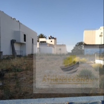 Land for sale in Crete, Sitia (2)