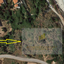 Land for sale in Korasida, Evia (9)