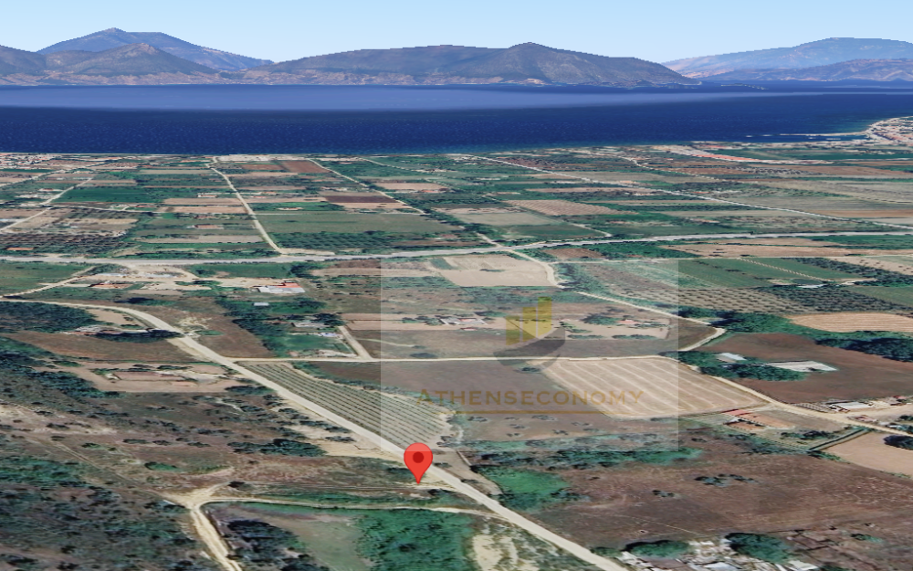 Land for sale in Neos Pirgos, Evia.