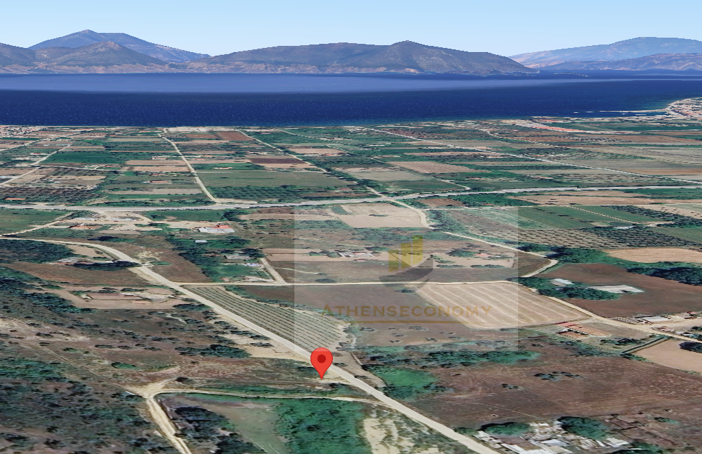 Land for sale in Neos Pirgos, Evia.