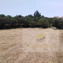 Land for sale in Samos (1)