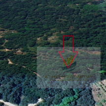 Land for sale in Samos (1)