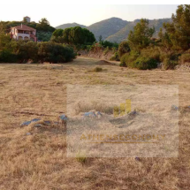 Land for sale in Samos (11)