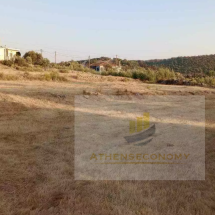 Land for sale in Samos (12)