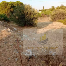 Land for sale in Samos (14)