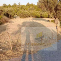 Land for sale in Samos (16)