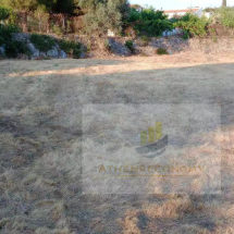 Land for sale in Samos (18)