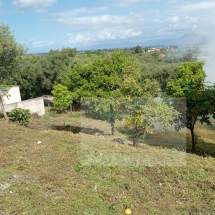 Plot of land in Alissos (1)