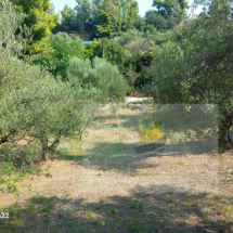 Plot of land in Vrina, Peloponnese (11)