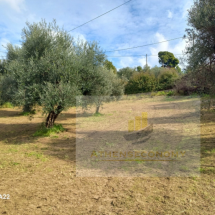 Plot of land in Vrina, Peloponnese (2)