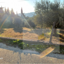 Plot of land in Vrina, Peloponnese (7)