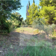 Plot of land in Vrina, Peloponnese (9)