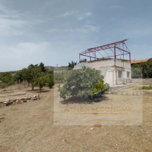 House with land in Eretria (4)