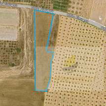 Land for sale in Ancient Corinthos (1)