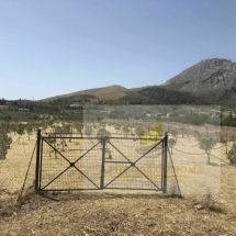 Land for sale in Ancient Corinthos (12)