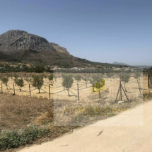 Land for sale in Ancient Corinthos (13)