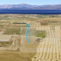 Land for sale in Ancient Corinthos (3)