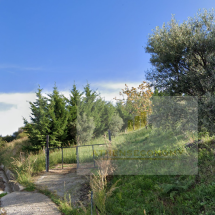 Land for sale in Magoula, Peloponnese (4)