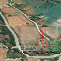 Land for sale in Mourteri, Evia (3)