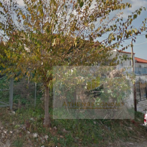 Land for sale in Petalidi, Messini (7)