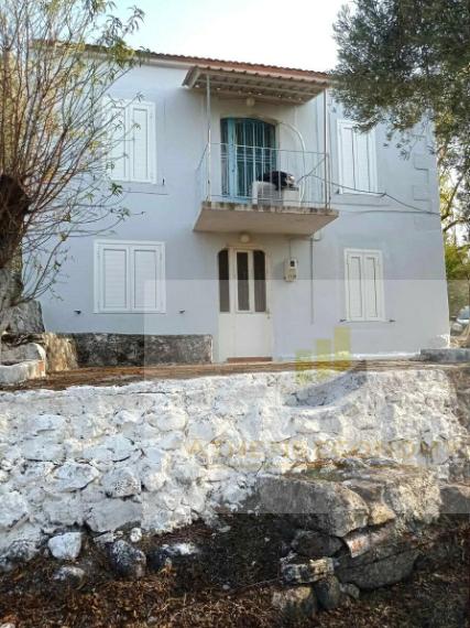 Two houses with land in Nyfida, Lesbos