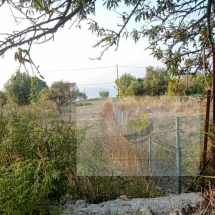 Two houses with land in Lesbos (3)