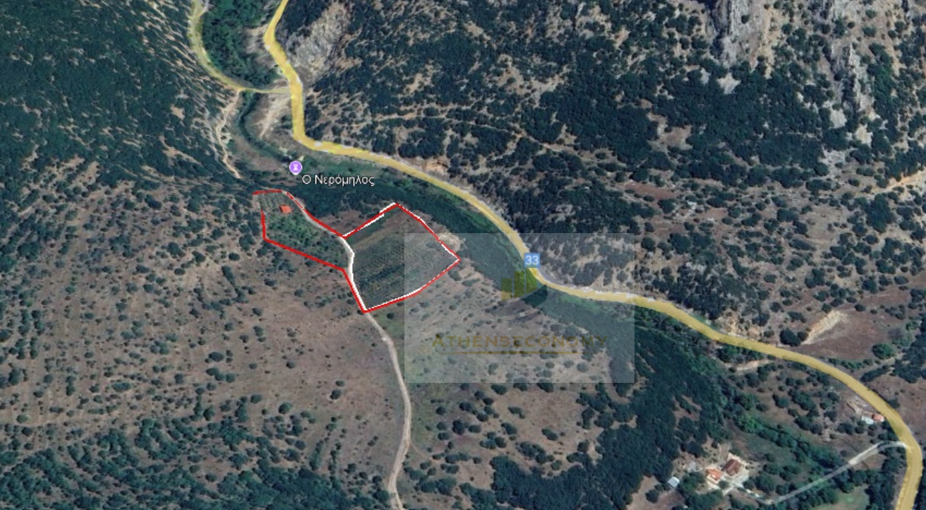 Prime Agricultural Land for Sale in Kalavryta, Achaia