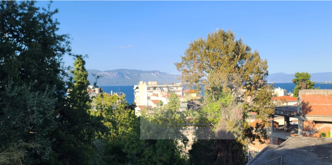 Land for sale in Agios Konstantinos, Fthiotida