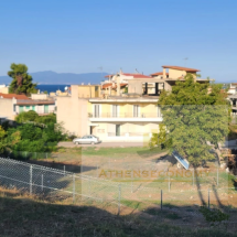 Land for sale in Ag.Konstantinos, Fthiotida (1)