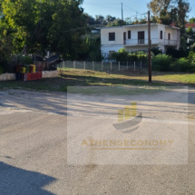 Land for sale in Ag.Konstantinos, Fthiotida (5)