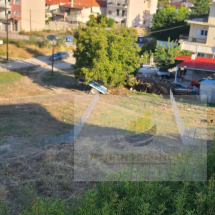 Land for sale in Ag.Konstantinos, Fthiotida (7)