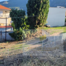 Land for sale in Ag.Konstantinos, Fthiotida (8)