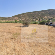 Land for sale in Ermioni, Argolida (2)