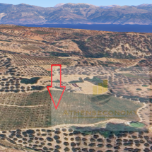 Land for sale in Hatzis, Aigio (11)