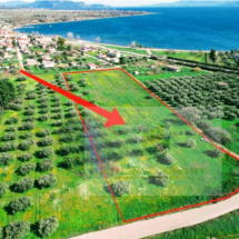 Land for sale in Karavomylos, Fthiotida (3)