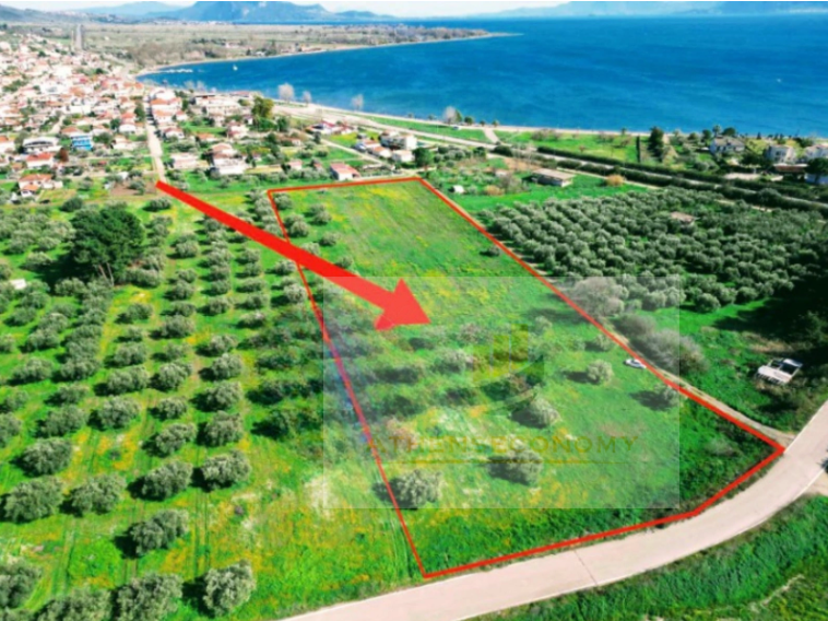 Land for sale in Karavomylos, Fthiotida