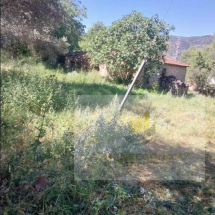 Land for sale in Lidoriki, Phocis (2)