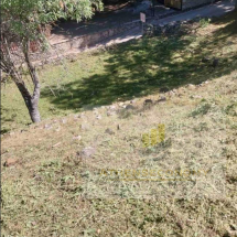 Land for sale in Lidoriki, Phocis (4)