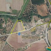 Land for sale in Petroules, Amaliada (5)