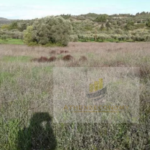 Land for sale in Rhodes (6)