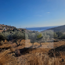 Plot of land in Agairia, Paros (6)