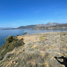 Seafront land in Panormos, Phocis (11)