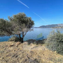 Seafront land in Panormos, Phocis (13)