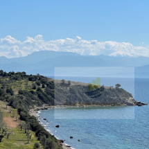 Seafront land in Panormos, Phocis (2)