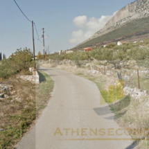 Land for sale in Elaichori, Oitylo (11)