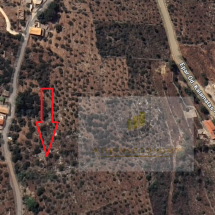 Land for sale in Elaichori, Oitylo (2)