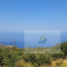 Land for sale in Elaichori, Oitylo